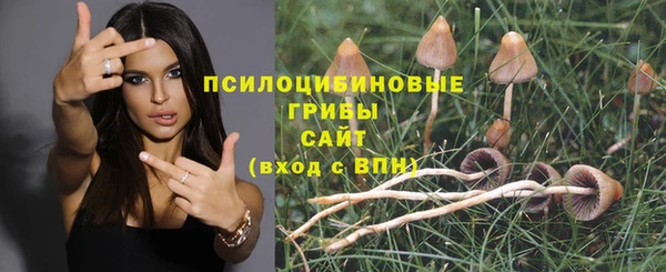 дмт Балахна