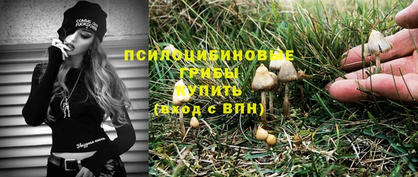 дмт Балахна