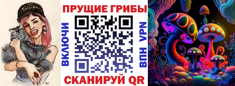 где купить наркоту  Туран  Псилоцибиновые грибы прущие грибы 